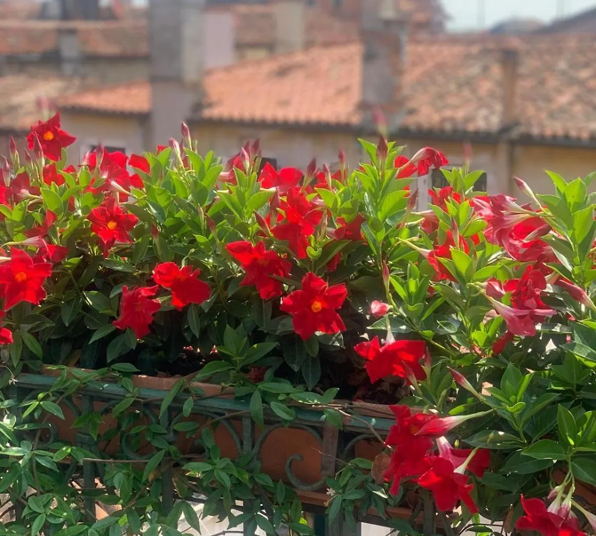Elegant Terrace Apartment Near Piazza San Marco Last Floor No Lift Venice